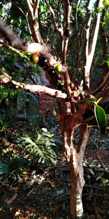 Cafe Com Arte Pousada Ecologica Botucatu Ngoại thất bức ảnh